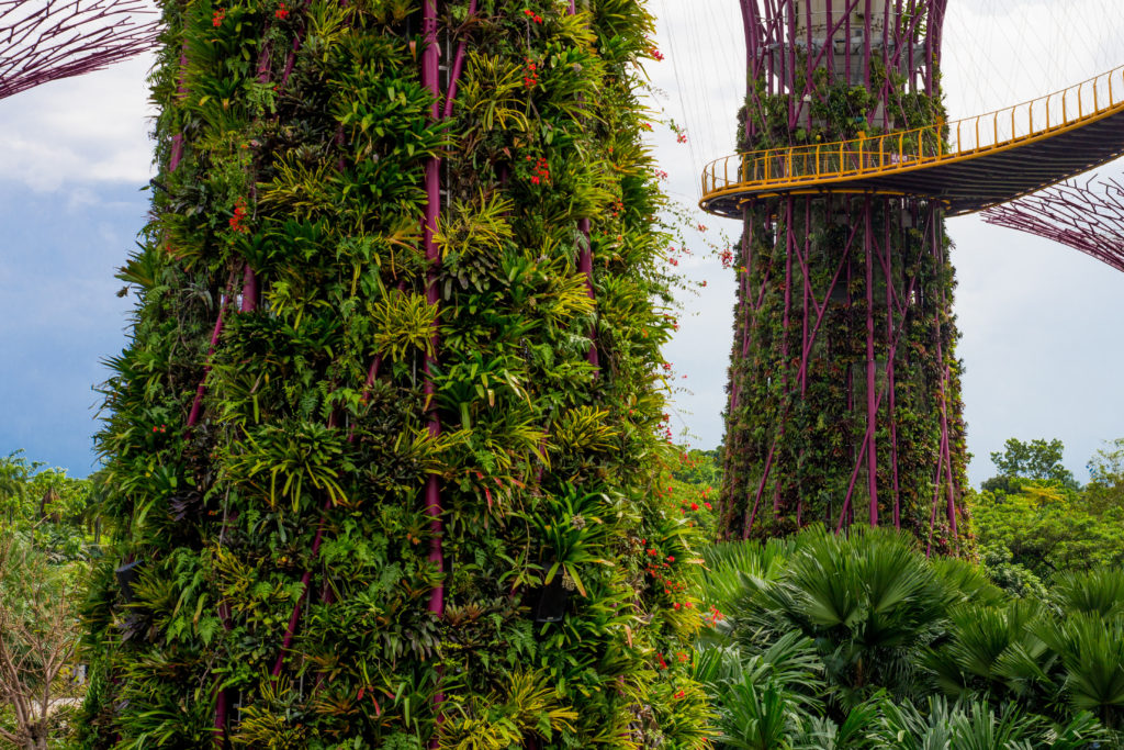 The artificial giants: The irrigation systems run on the outside.