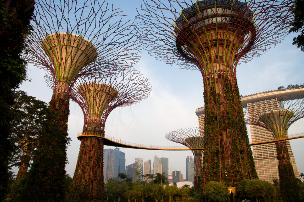 The Supertrees represent a habitat in which humanity connects nature with technology.