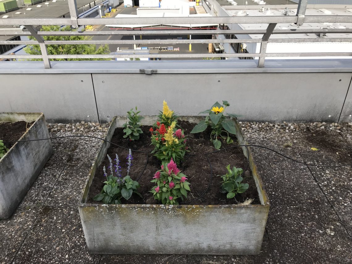 The newly created Rooftop Garden with an irrigation system from NORMA Group was one of my topics for an intranet article.