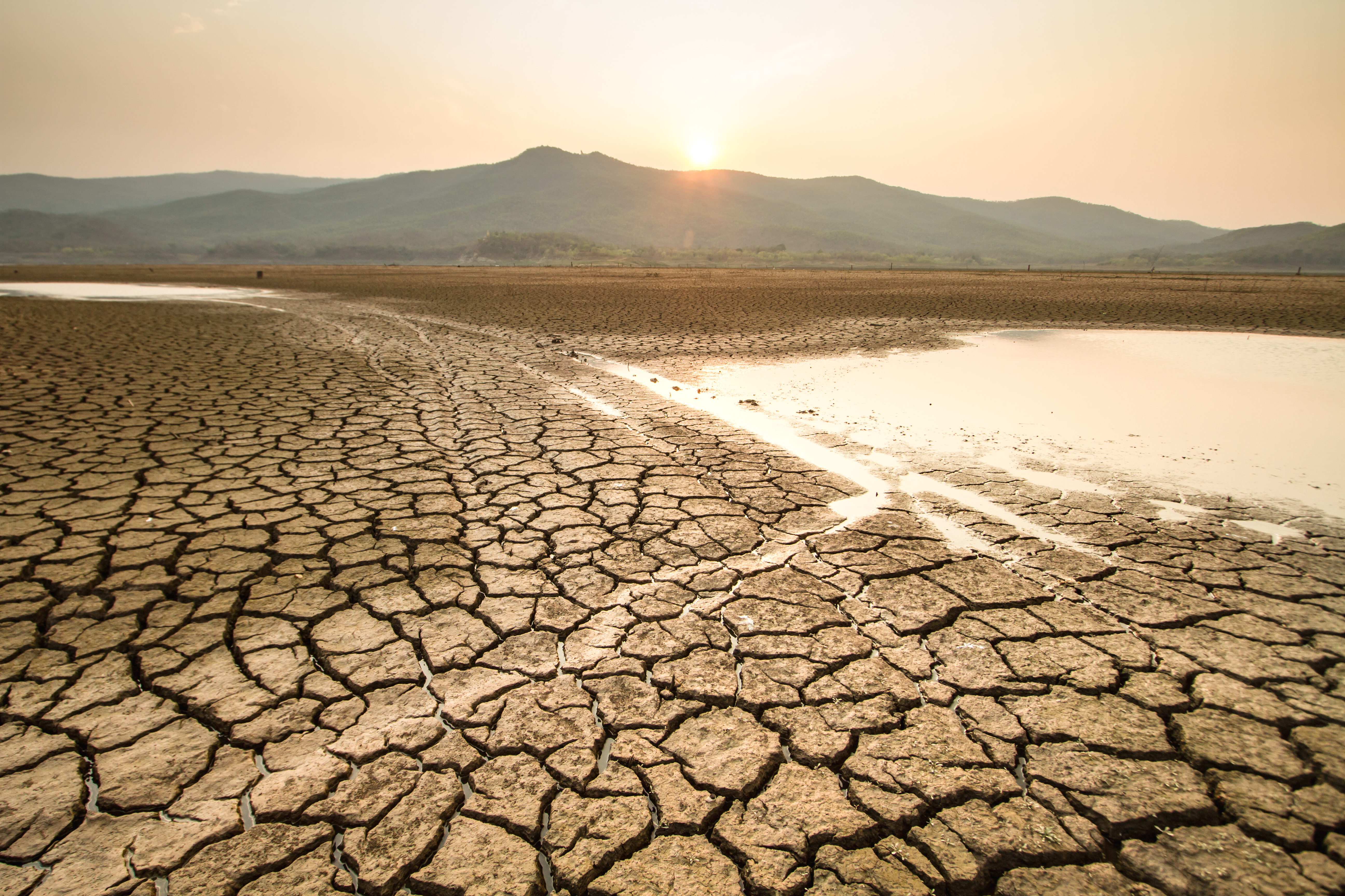 Drying lake