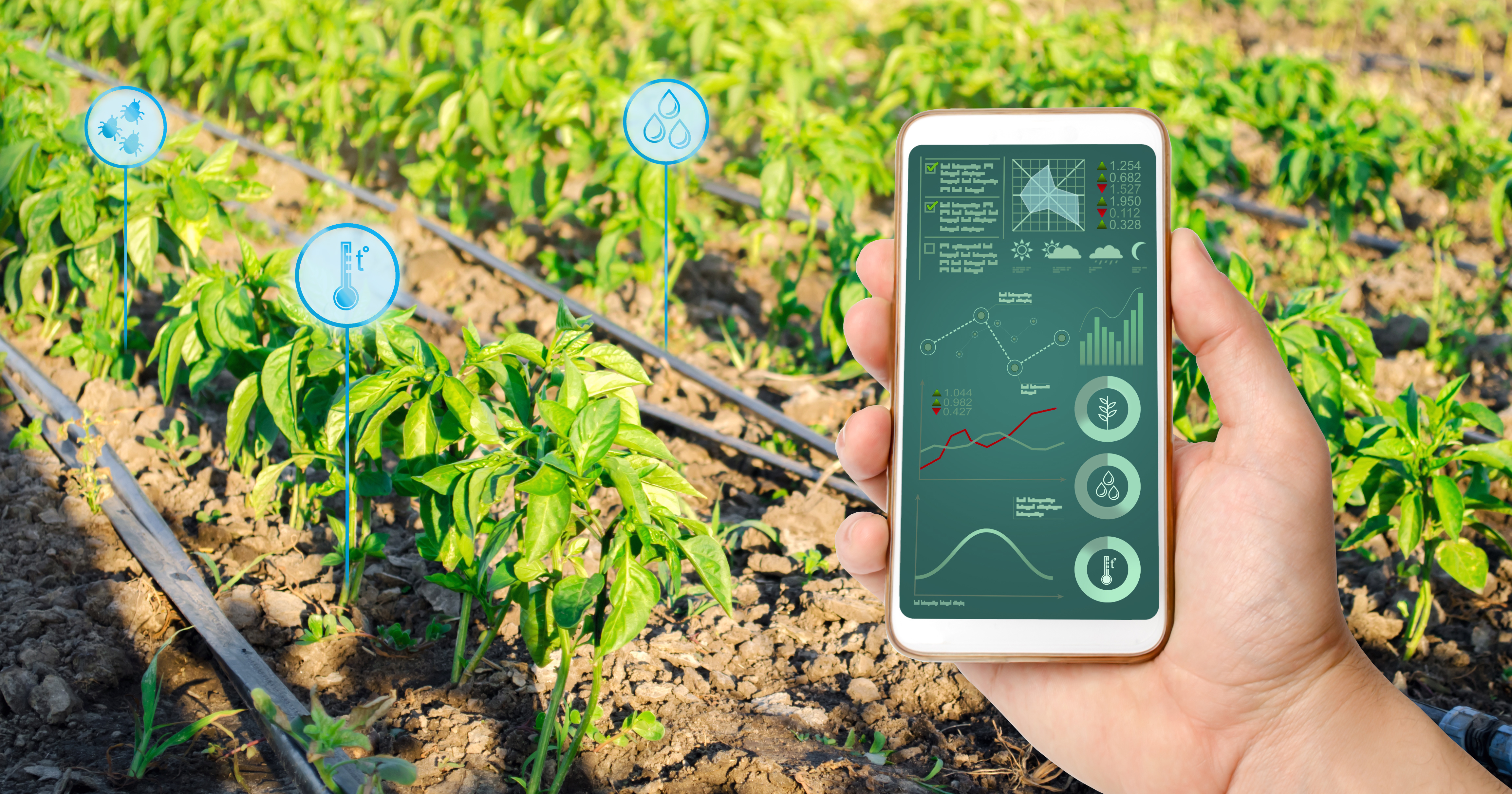 Smart irrigation