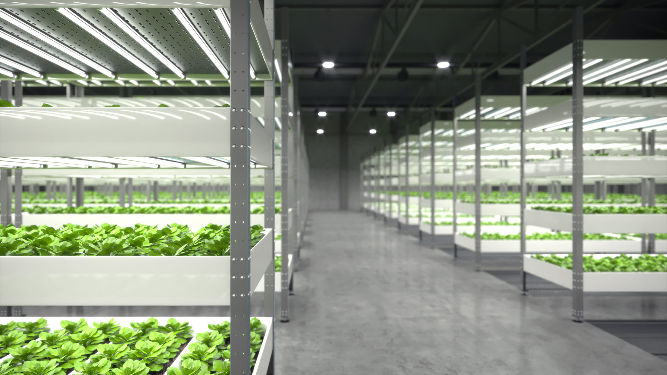 Vertical farming