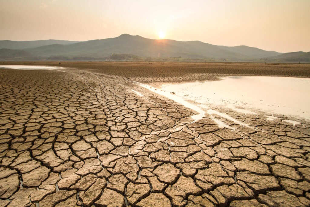 Bild eines ausgetrockneten Bodens aufgrund von Wasserknappheit