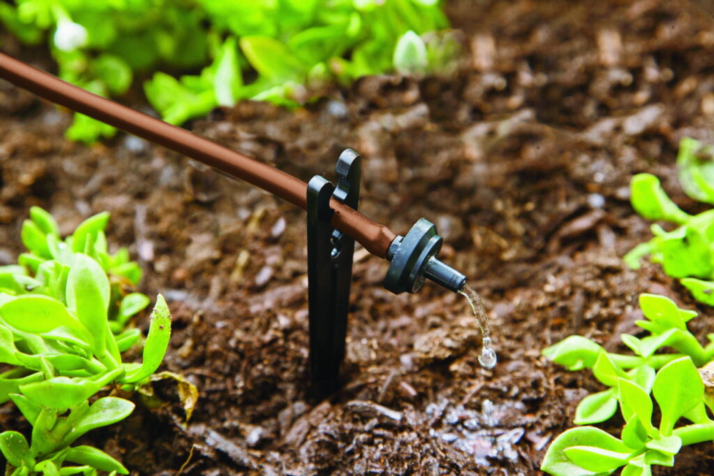 Close-up drip irrigation system delivering water directly to plant roots